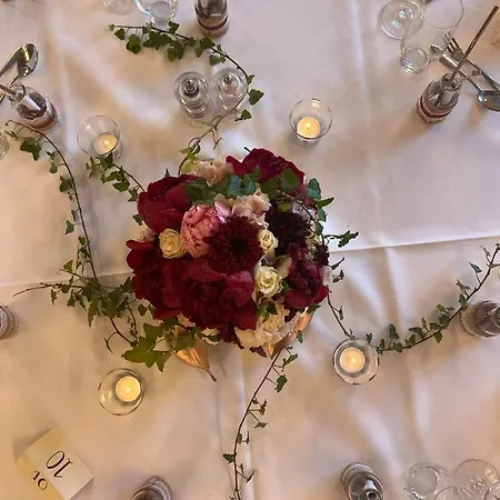 Hecht Hotel Rheineck